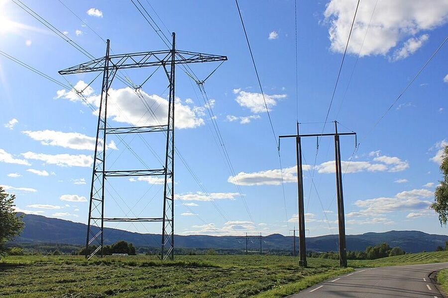 Mange har spart store summer med Norgespris.