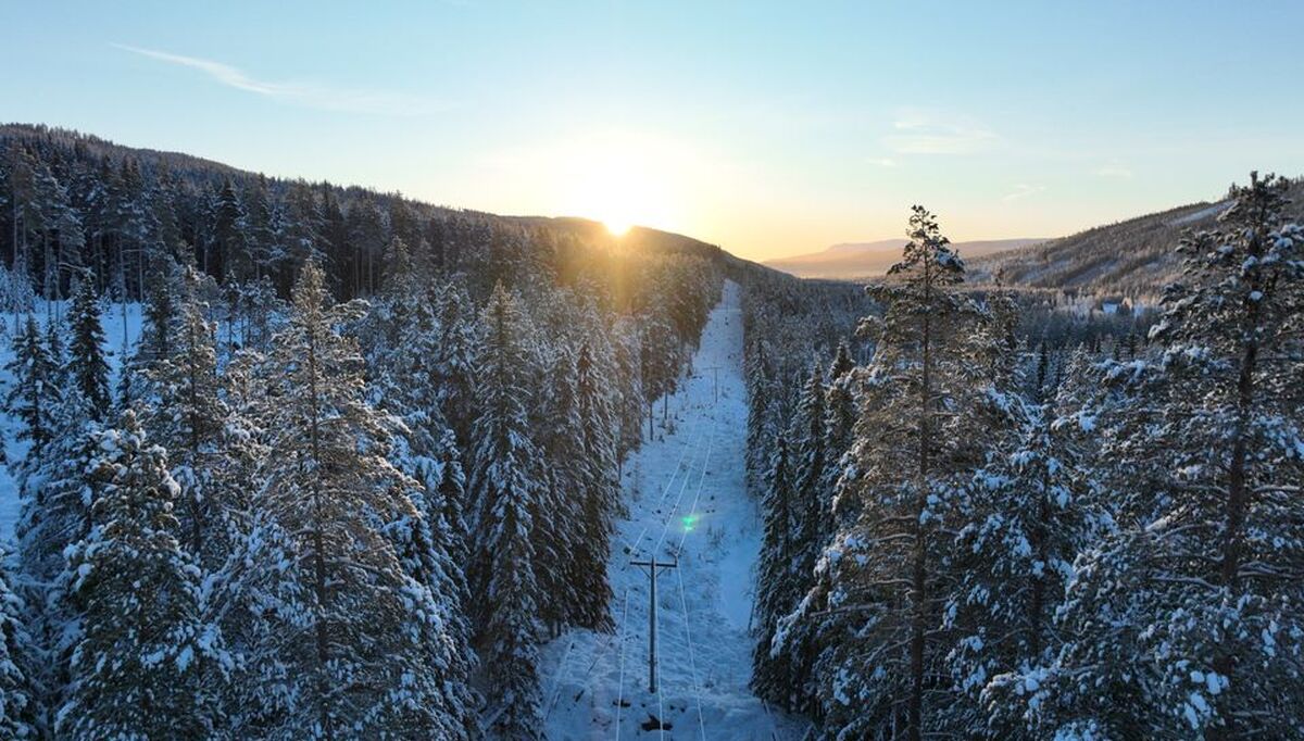 Strømforbruket til Elvias kunder gikk opp sammenlignet med samme måned i fjor. Januar måned var også den kaldeste på 16 år.