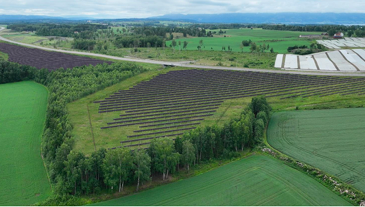 Solgrid AS får konsesjon til å bygge, eie og drive Nordvi solkraftverk . Foto: Solgrid