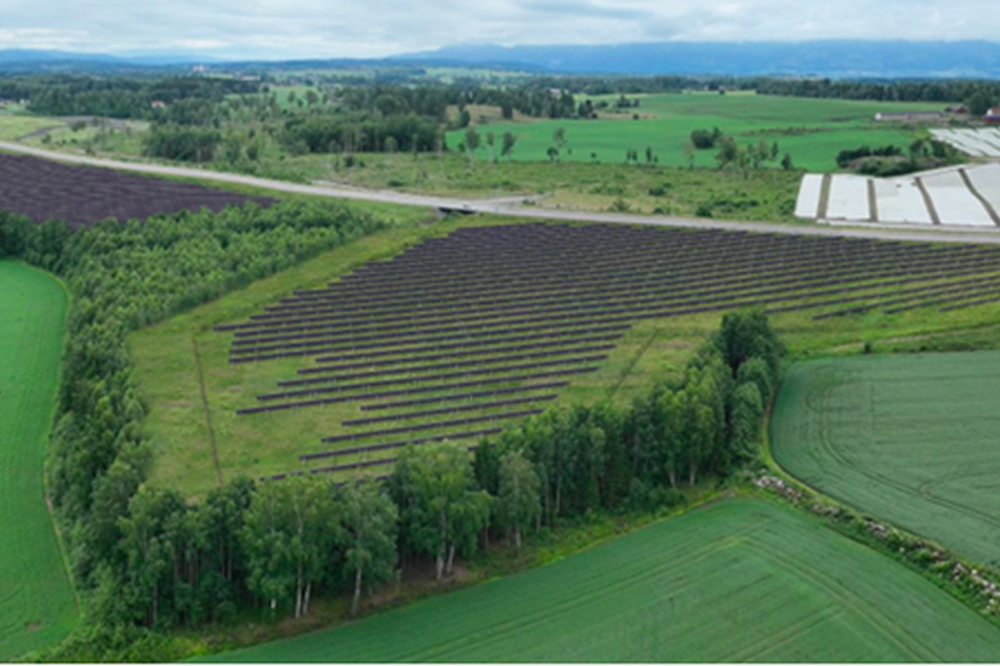 Solgrid AS får konsesjon til å bygge, eie og drive Nordvi solkraftverk . Foto: Solgrid
