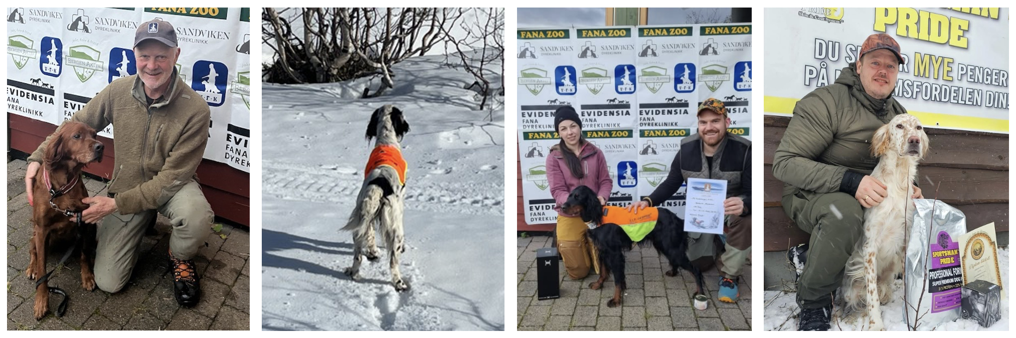 VFK_Årets hunder 2025