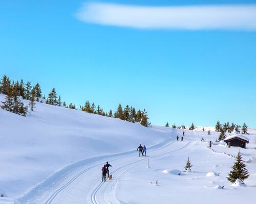 Trikkeskinner i Øyerfjellet