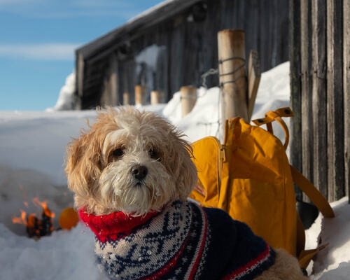 Pure winter, no compromise