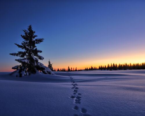 Pure winter, no compromise