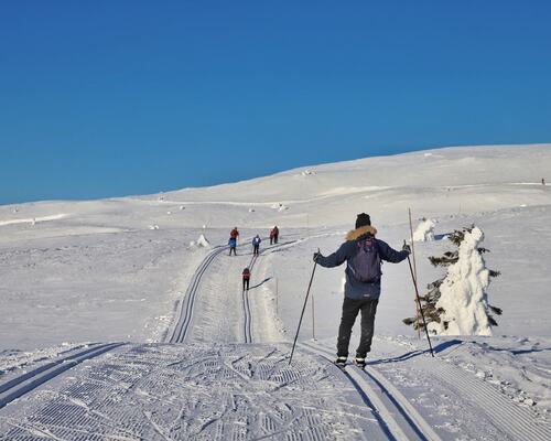 Pure winter, no compromise