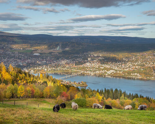 Urban pulse, rural peace