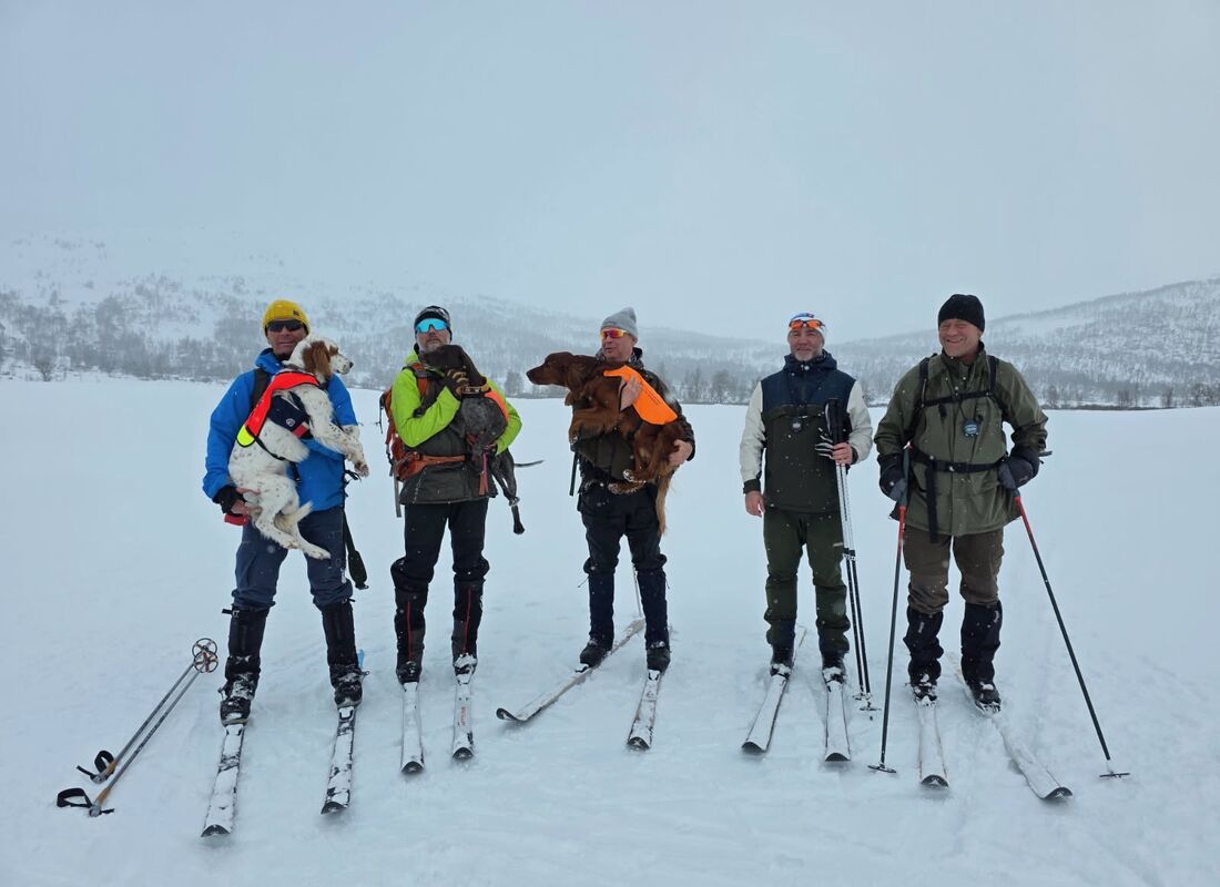 Filefjell 2026 - VK partiet