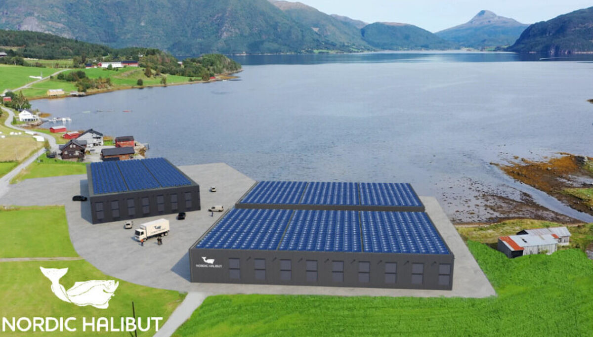 Nordic Halibut etablerer et nytt, fullintegrert landbasert oppdrettsanlegg i Tingvoll.