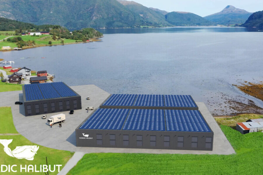 Nordic Halibut etablerer et nytt, fullintegrert landbasert oppdrettsanlegg i Tingvoll.