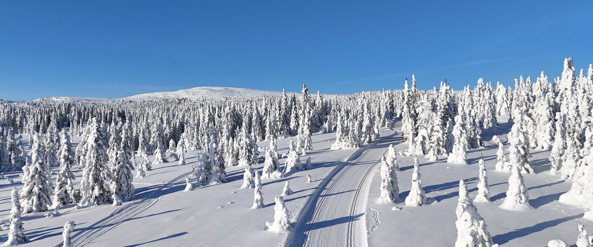 vinter på Nordseter fra drone