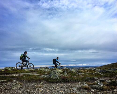 Stisykling til fjells
