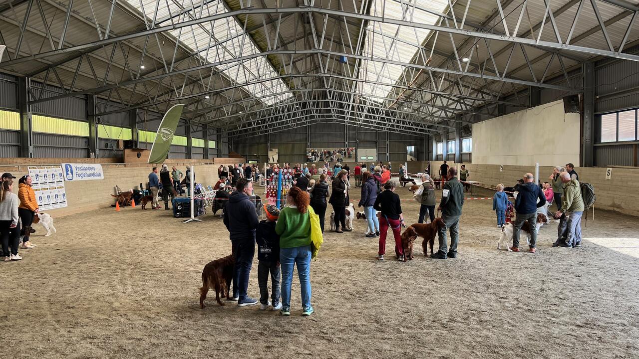 Fra utstillingshallen 2025