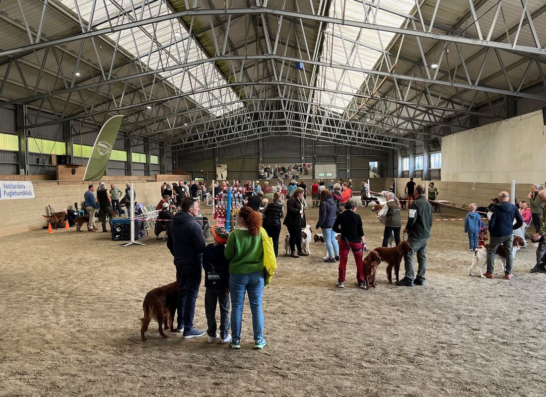 Fra utstillingshallen 2025