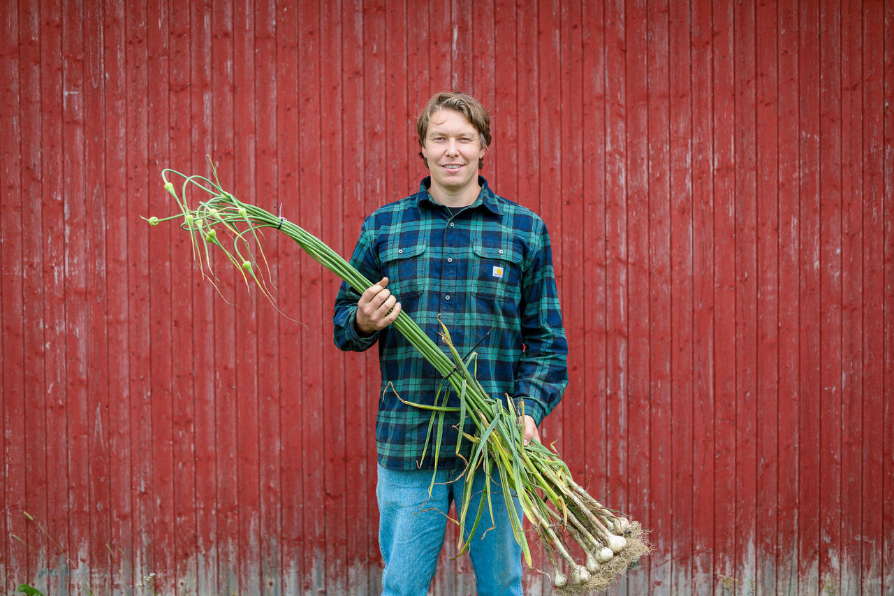 Fredrik Magnussen fra Slæpen gård med hvitløk