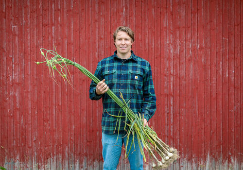 Fredrik Magnussen fra Slæpen gård med hvitløk