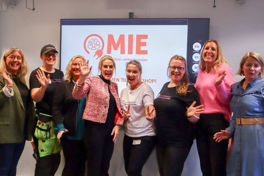 MIE-nettverket inviterer til seminar under Eliaden. Foto: MIE-nettverket