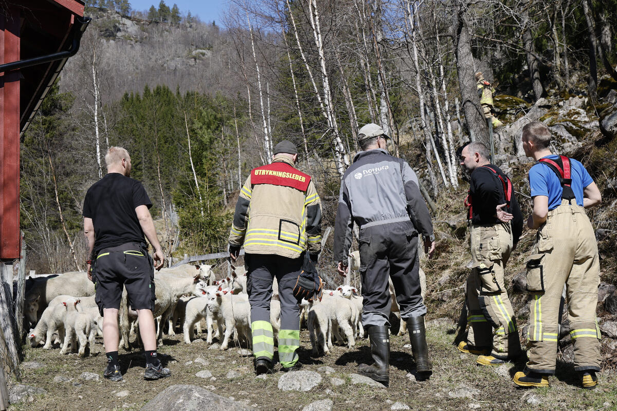 Foto: Tor Olav Rydlene