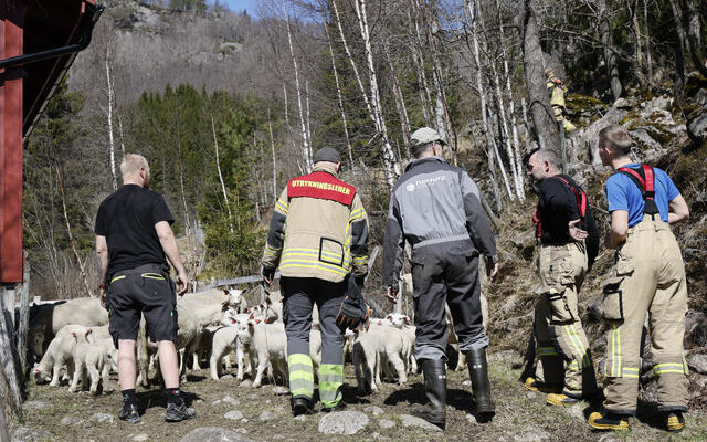 Foto: Tor Olav Rydlene