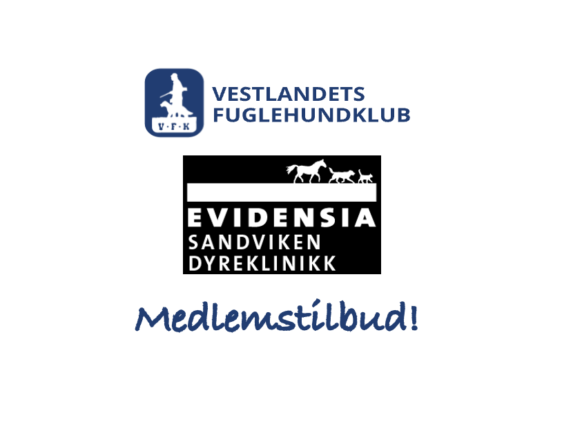 medlemsavtale Evidensia Sandviken