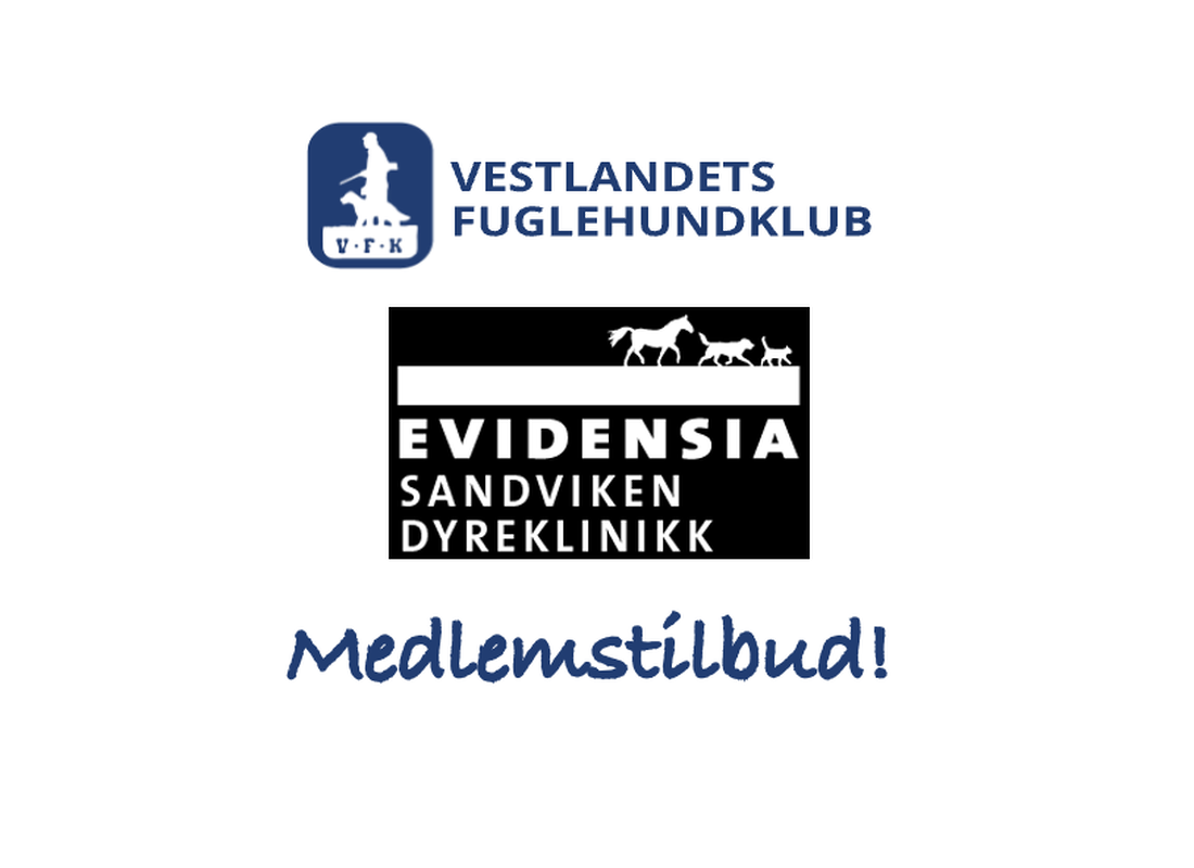 medlemsavtale Evidensia Sandviken