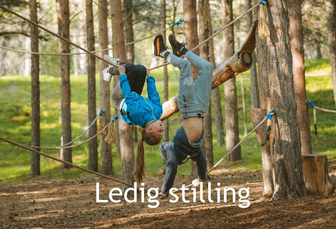 Ledig stilling 2