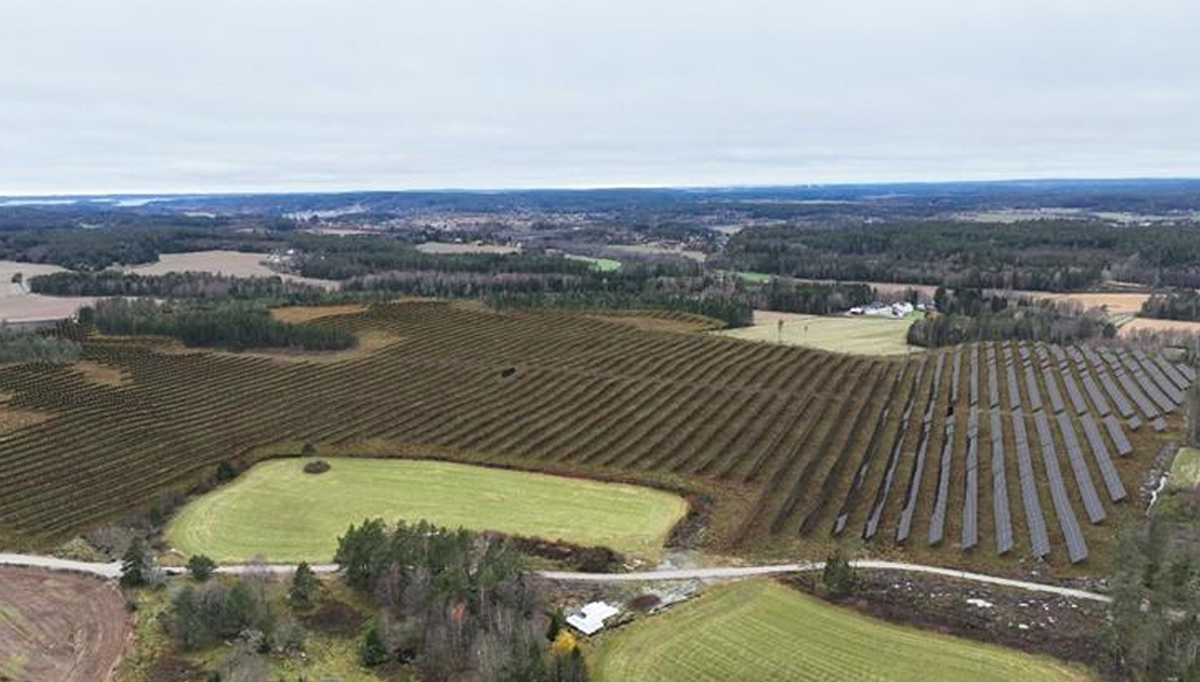 Illustrasjon av hvordan Wold solkraftverk vil se ut. Kilde: konsesjonssøknad Illustrasjon av hvordan Wold solkraftverk vil se ut. Kilde: konsesjonssøknad