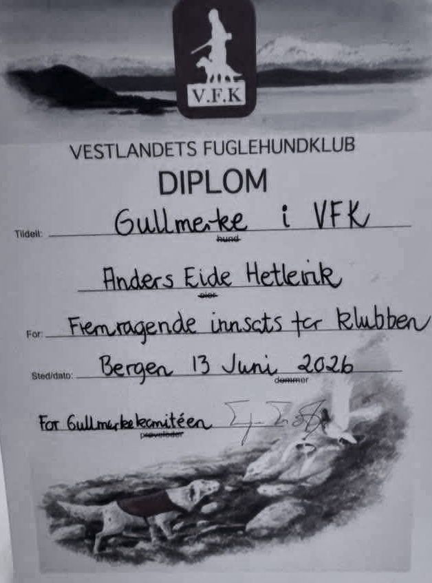 2026_Gullmerke_Anders Hetlevik_diplom