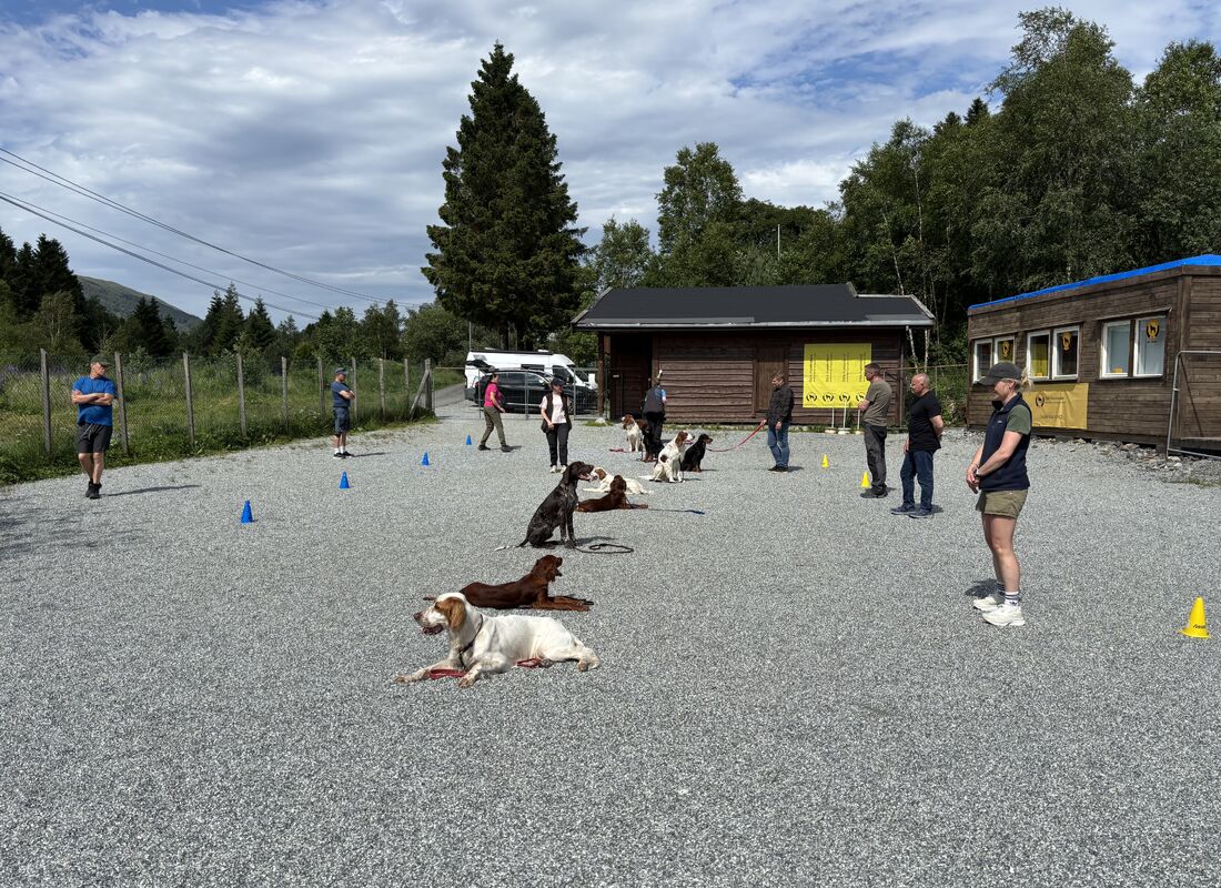 VFK Dressurkurs vår 2026