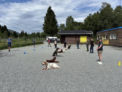VFK Dressurkurs vår 2026