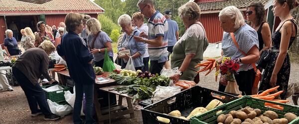 IMG_0252[1]
