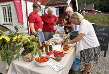 IMG_0274