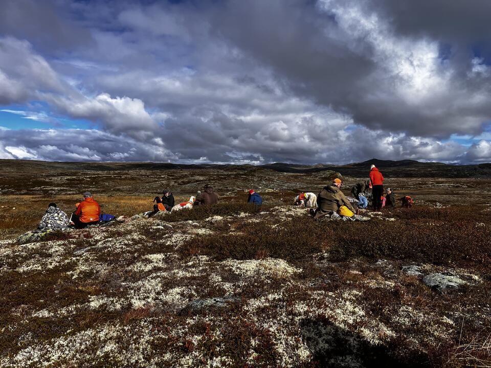 HARDANGERVIDDA 2026 LUNSJ I VK PARTIET