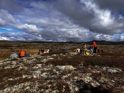 HARDANGERVIDDA 2026 LUNSJ I VK PARTIET