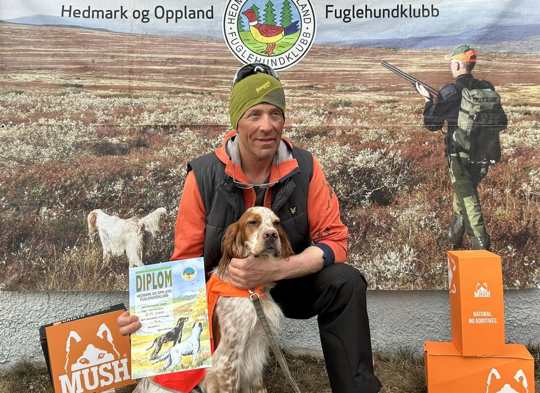 ROGER HERMANSTAD - fotokred Hedmark og Oppland fuglehundklub