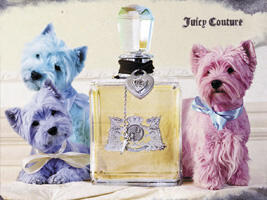 JuicyCouture DOGS copy