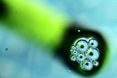 bubles_300x188